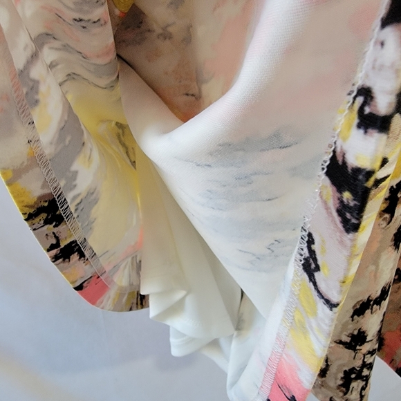 NEW JAX Watercolor Abstract Sleeveless Sheath Dress Sz 4 Full-Zip Minimalist - Picture 6 of 12